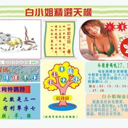 新香港【 328 】期